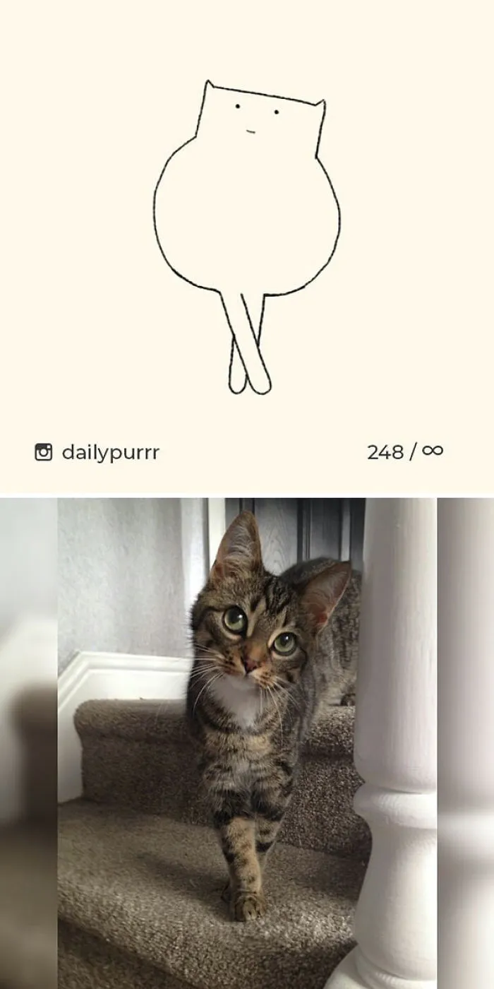 85 Times ‘Stupid Cat Drawings’ Made Everyone Laugh With How Accurate They Were