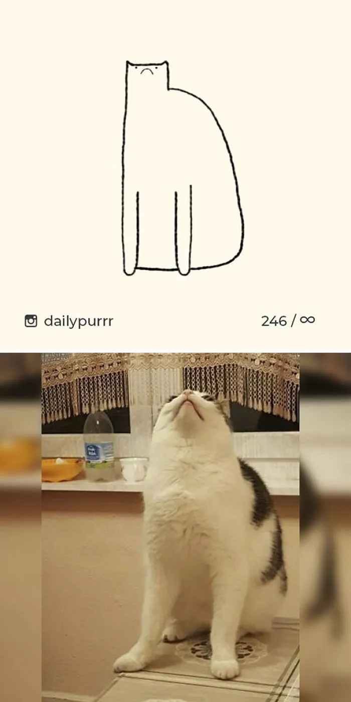 85 Times ‘Stupid Cat Drawings’ Made Everyone Laugh With How Accurate They Were