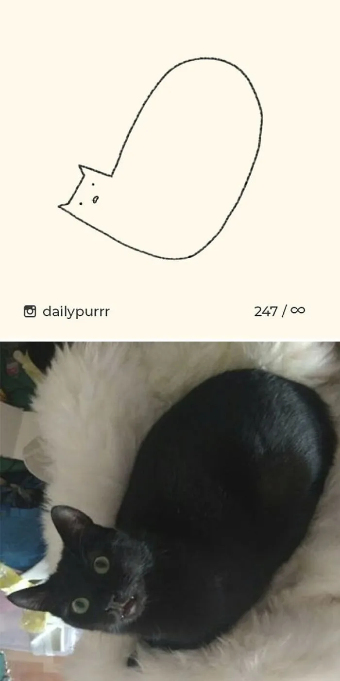 85 Times ‘Stupid Cat Drawings’ Made Everyone Laugh With How Accurate They Were