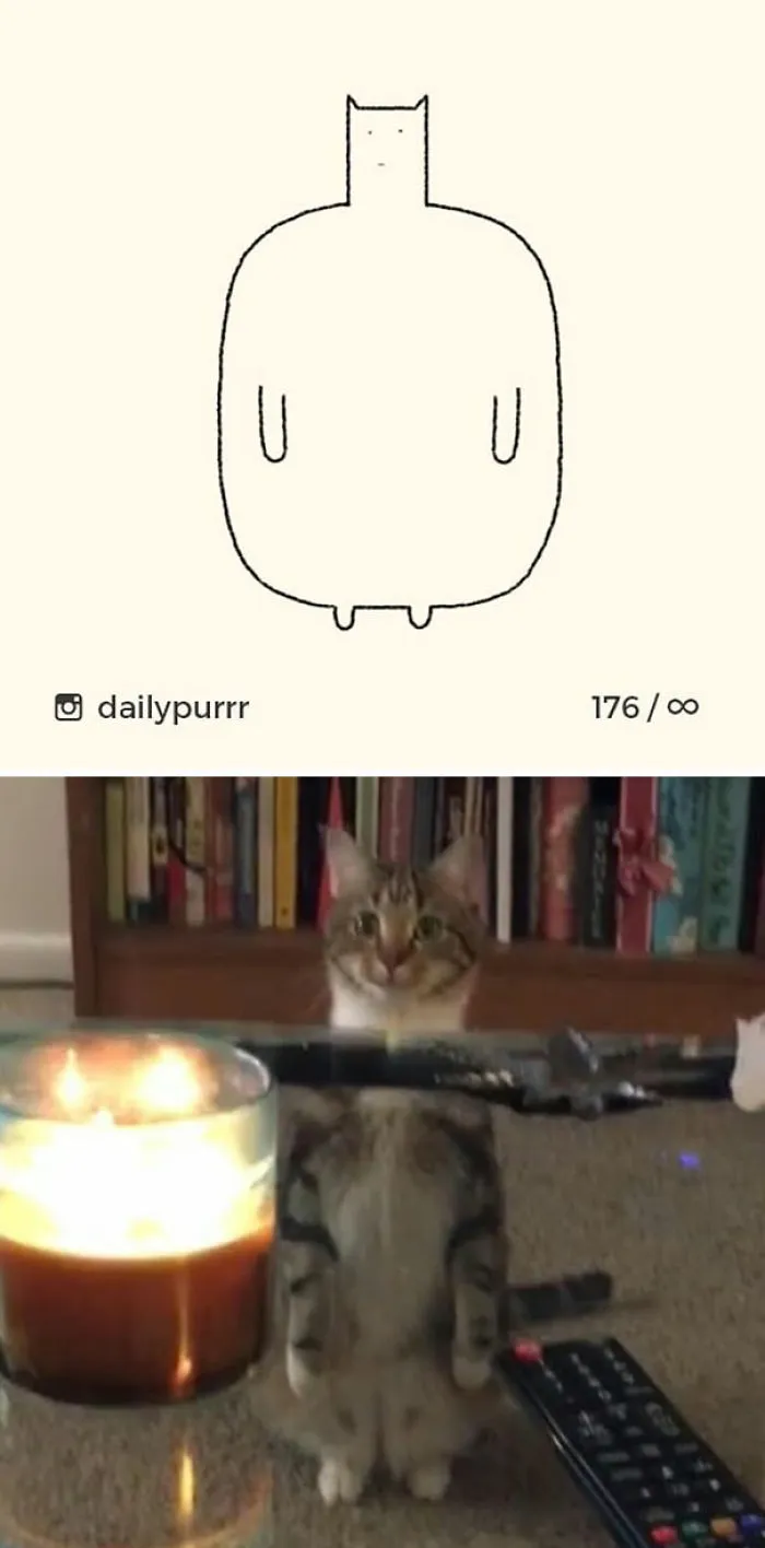 85 Times ‘Stupid Cat Drawings’ Made Everyone Laugh With How Accurate They Were