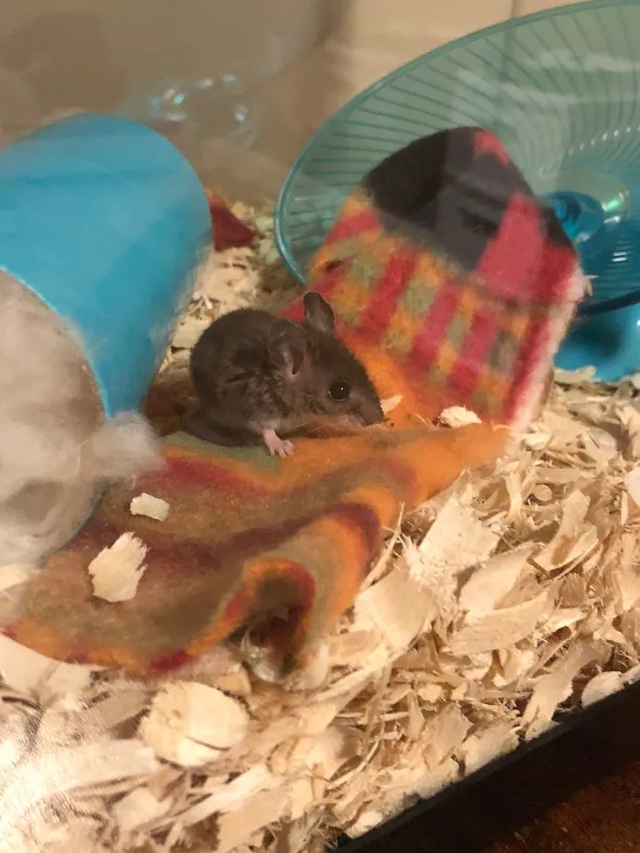 I Run A Small Animal Rescue: This Is What I See Every Day