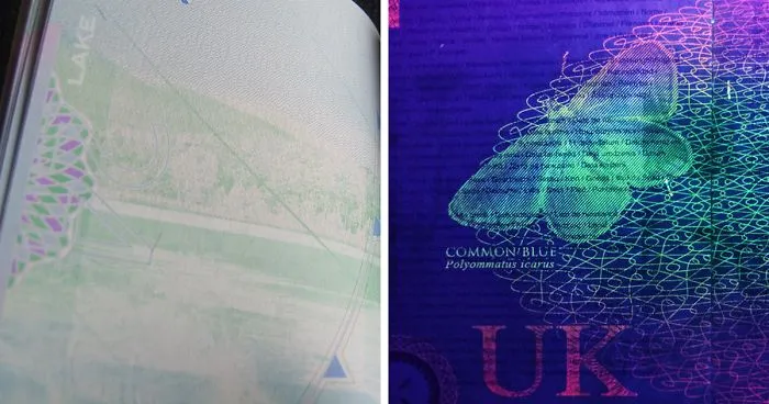 I Always Knew That Passports Used UV Ink For Security So I Checked How That Looks