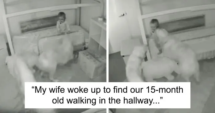 Parents Can't Believe Their Eyes After Seeing Security Tape: Dogs Help Toddler Escape Room So She'd Give Them Snacks