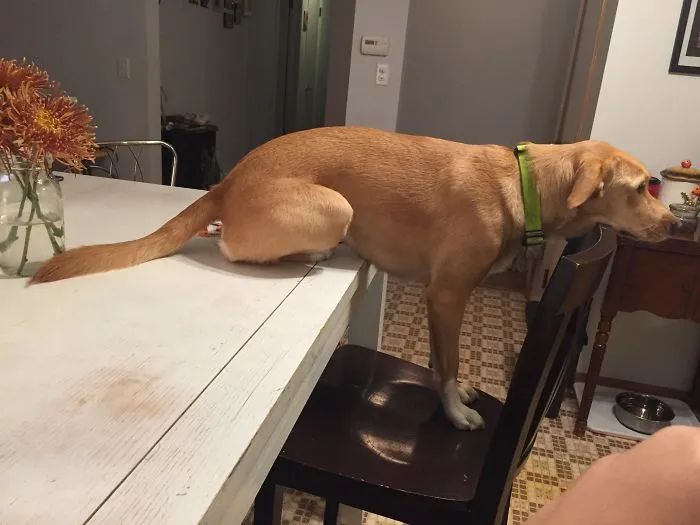 Make Yourself At Home