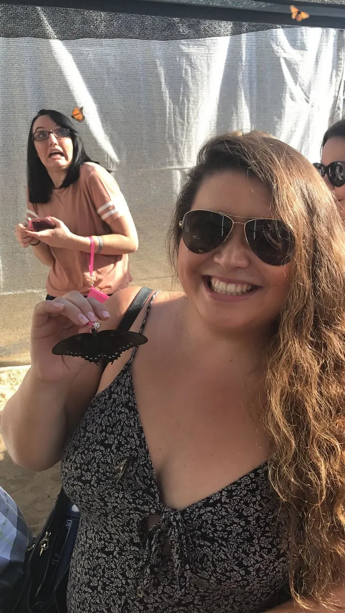 Attack Of The Butterfly