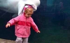 50 Funny Times The Background Of Photos Was Better Than The Foreground