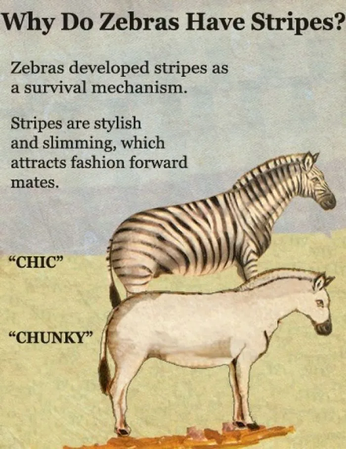 These Confusing 'Science Facts' Challenges Your Knowledge In A Hilarious Way