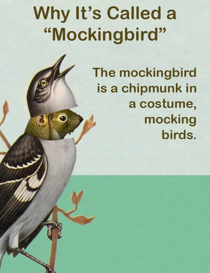 These Confusing 'Science Facts' Challenges Your Knowledge In A Hilarious Way