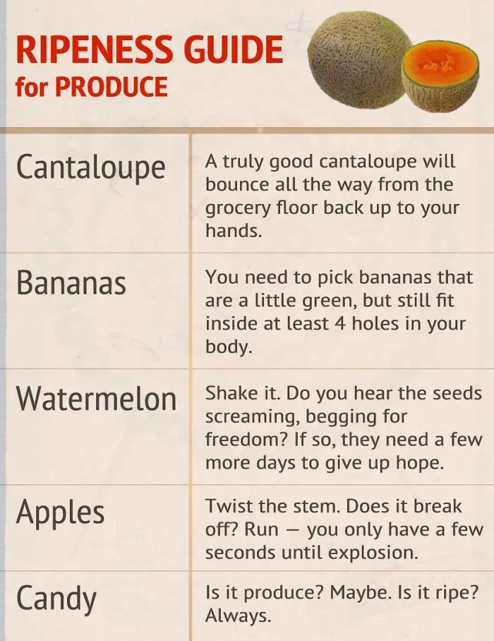These Confusing 'Science Facts' Challenges Your Knowledge In A Hilarious Way