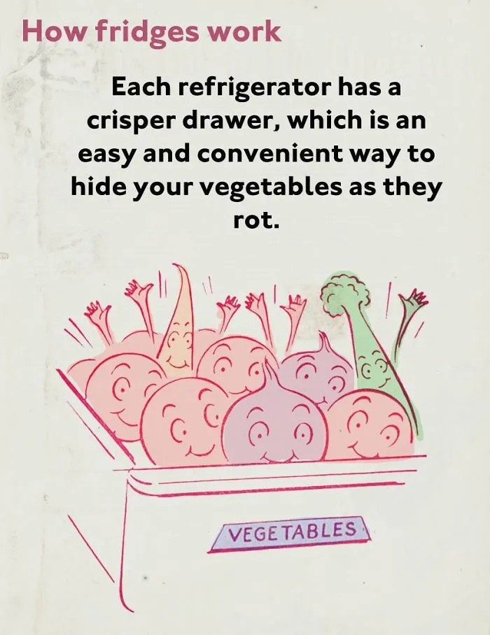 These Confusing 'Science Facts' Challenges Your Knowledge In A Hilarious Way
