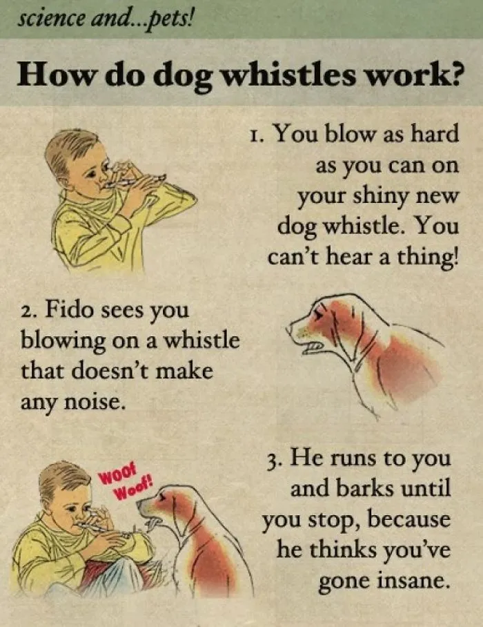These Confusing 'Science Facts' Challenges Your Knowledge In A Hilarious Way
