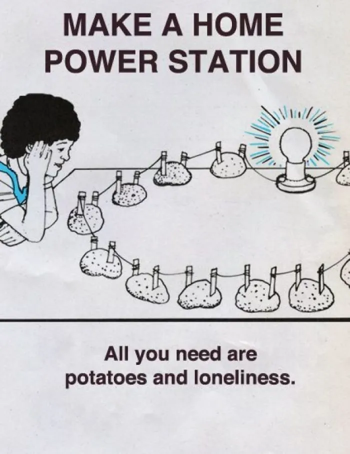 These Confusing 'Science Facts' Challenges Your Knowledge In A Hilarious Way