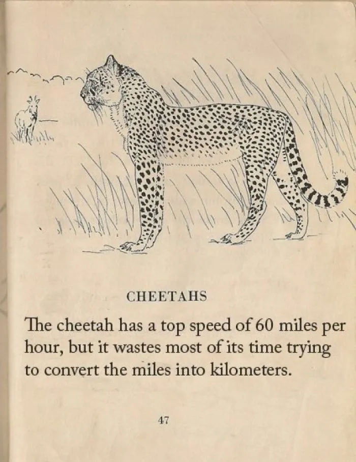 These Confusing 'Science Facts' Challenges Your Knowledge In A Hilarious Way