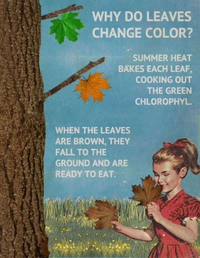 These Confusing 'Science Facts' Challenges Your Knowledge In A Hilarious Way