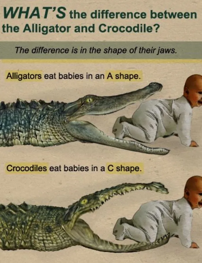 These Confusing 'Science Facts' Challenges Your Knowledge In A Hilarious Way