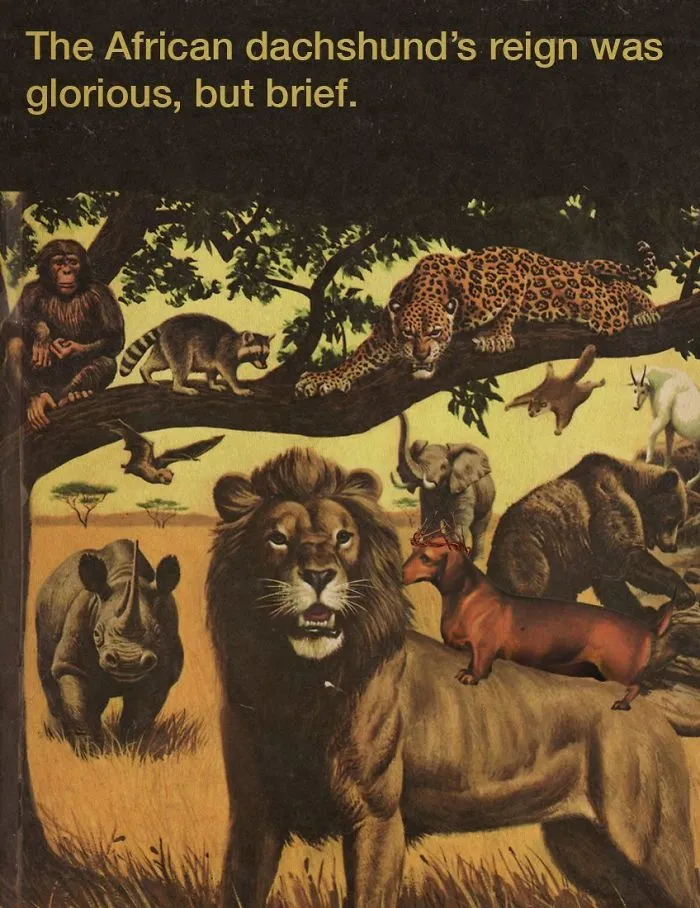 These Confusing 'Science Facts' Challenges Your Knowledge In A Hilarious Way