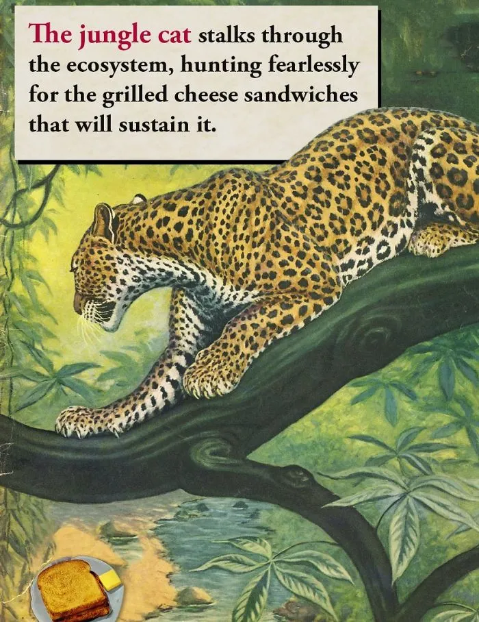 These Confusing 'Science Facts' Challenges Your Knowledge In A Hilarious Way