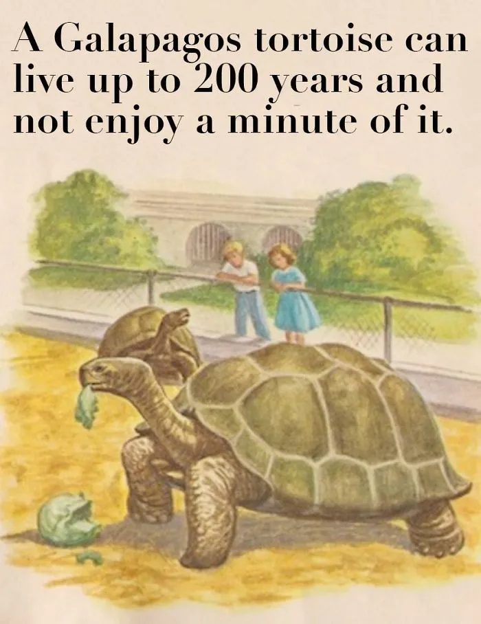 These Confusing 'Science Facts' Challenges Your Knowledge In A Hilarious Way