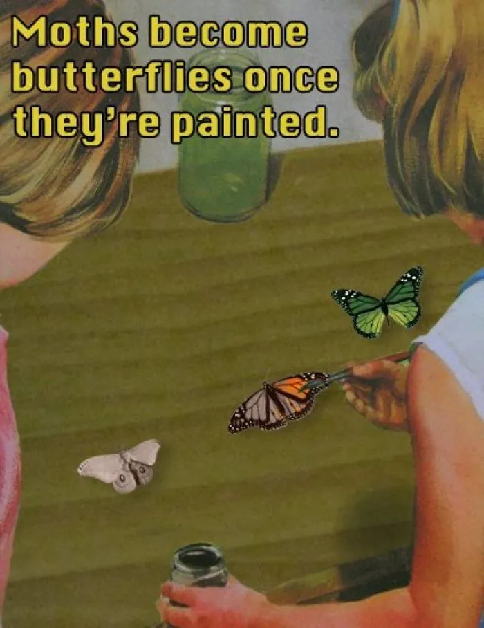 These Confusing 'Science Facts' Challenges Your Knowledge In A Hilarious Way