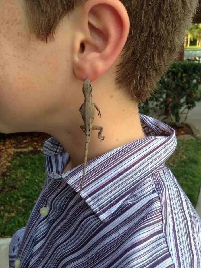 Los pendientes nuevos de mi primo