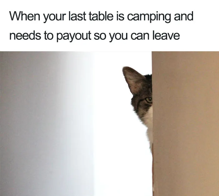 Cat peeking from behind a wall with text about restaurant frustrations, capturing a relatable restaurant meme moment.