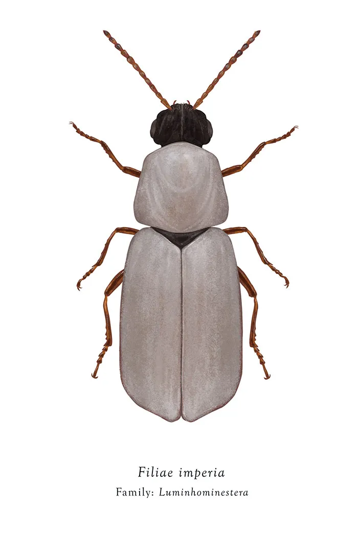 Artist Mutates Insects To Resemble Star Wars Characters – How Many Do You Recognize?