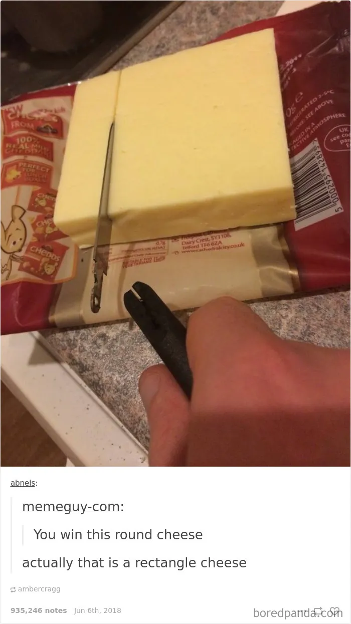 55 Times Tumblr Conversations Surprised Everyone With Their Unexpected Turns