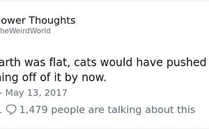 Flat-Earthers Are The Butt Of The Joke In These 38 Flat Earth Memes