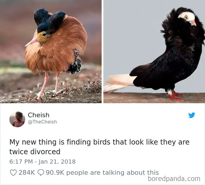 50 Epic Tweets By Women That Made The Whole Internet Laugh Out Loud