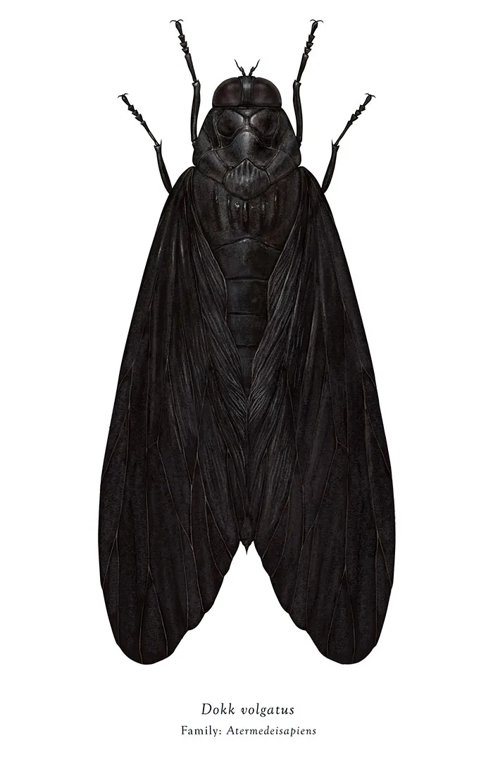 Artist Mutates Insects To Resemble Star Wars Characters – How Many Do You Recognize?
