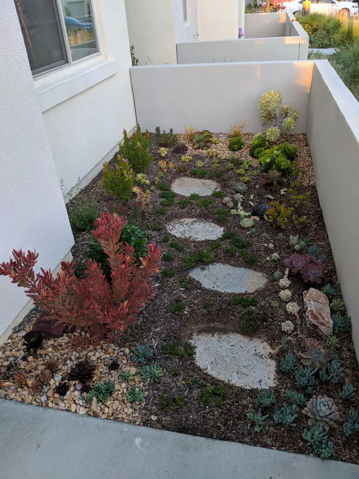 Just Want To Show Off My Garden Privacy Idea