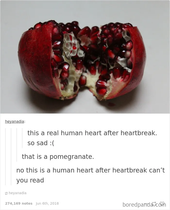 55 Times Tumblr Conversations Surprised Everyone With Their Unexpected Turns