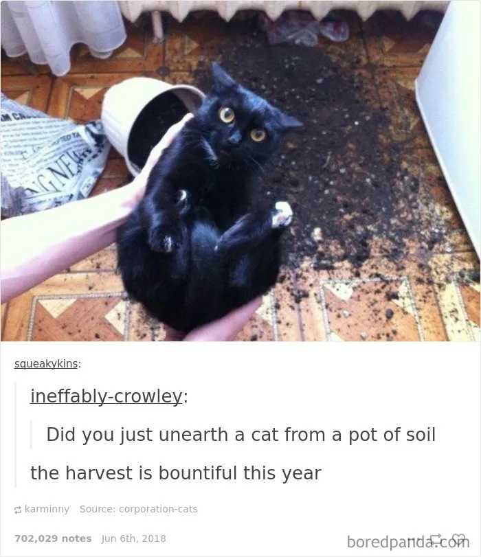 55 Times Tumblr Conversations Surprised Everyone With Their Unexpected Turns