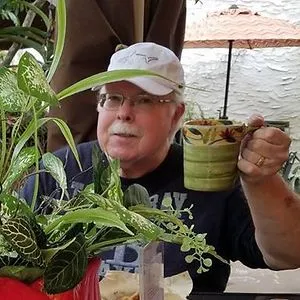 Robert Nickerson