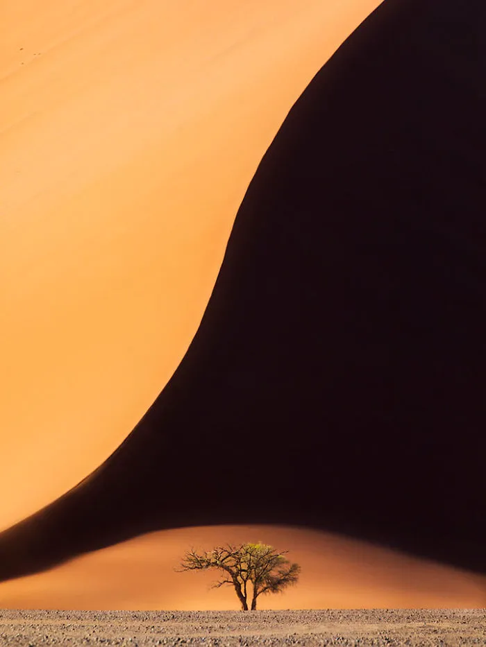 Namibian Curves
