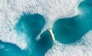The Winners Of The Nature Conservancy Photo Contest 2018 Has Just Been Announced, And Some Of Them Will Make You Think