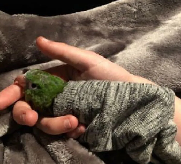 I Run A Small Animal Rescue: This Is What I See Every Day
