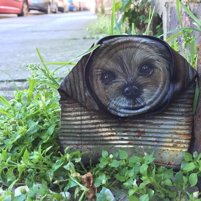 Artist Leaves His Paintings For People To Find After Getting Rejected By Art Galleries
