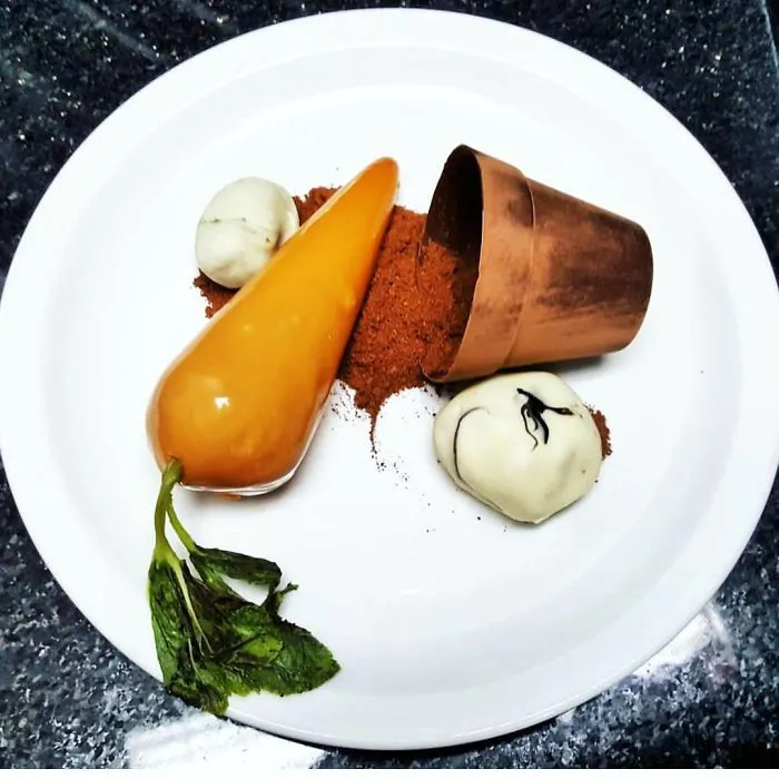 Pastel de zanahoria con glaseado espejo, piedras comestibles, menta frita, maceta de chocolate