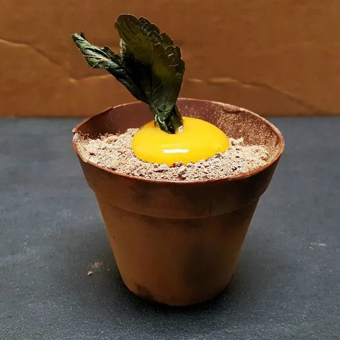 Maceta de chocolate rellena con crema de chocolate blanco y tarta de zanahoria, con chocolate rallado y gel de naranja y zanahoria por encima