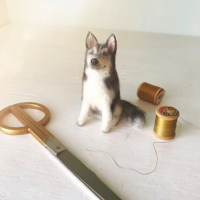 Artist Creates Adorable Puppies From Wool, And They Look So Real