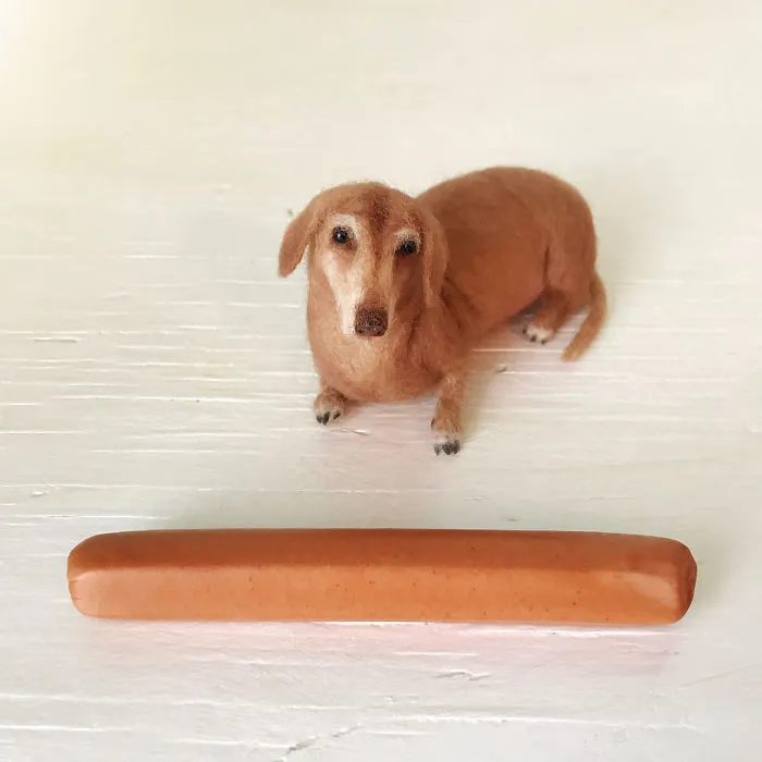 Artist Creates Adorable Puppies From Wool, And They Look So Real