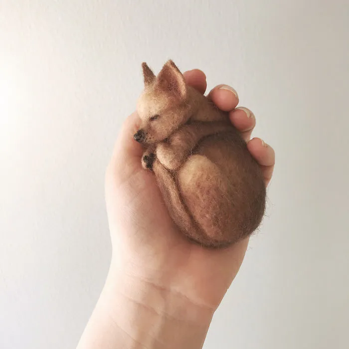 Artist Creates Adorable Puppies From Wool, And They Look So Real