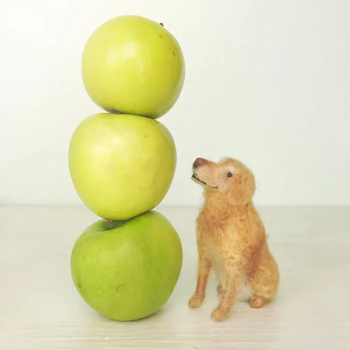 Artist Creates Adorable Puppies From Wool, And They Look So Real