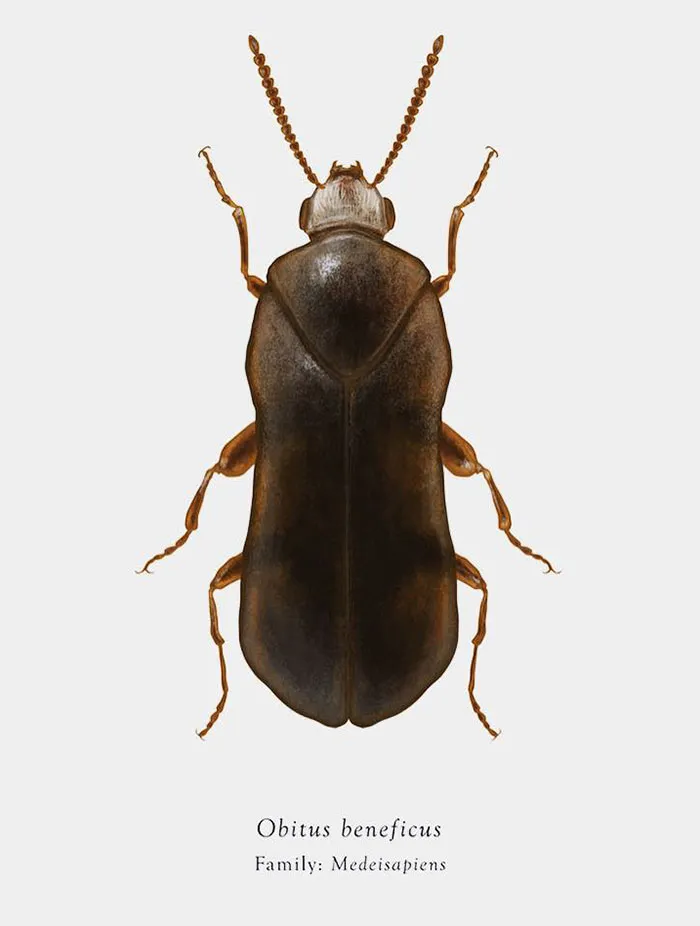 Artist Mutates Insects To Resemble Star Wars Characters – How Many Do You Recognize?
