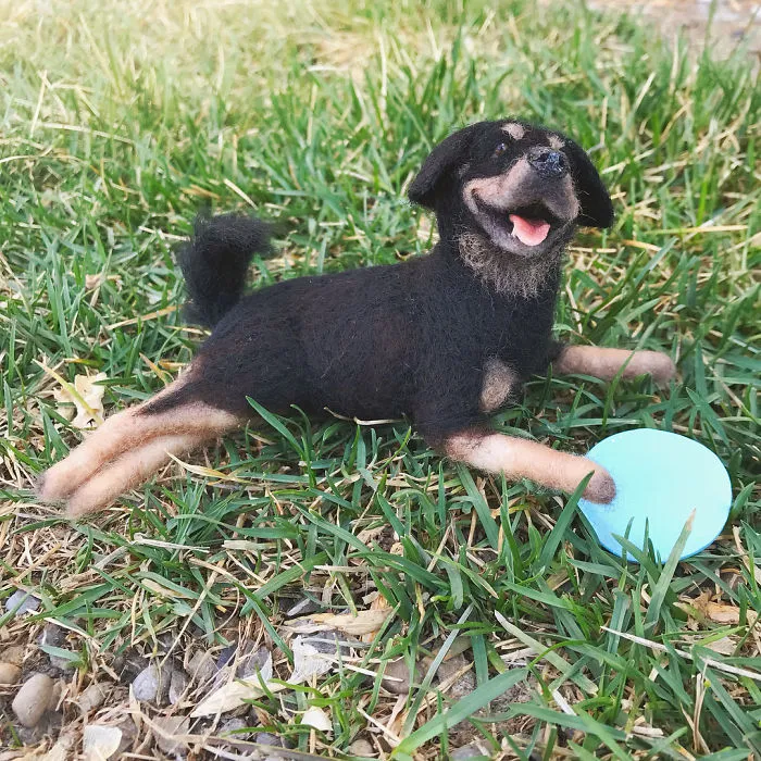 Artist Creates Adorable Puppies From Wool, And They Look So Real
