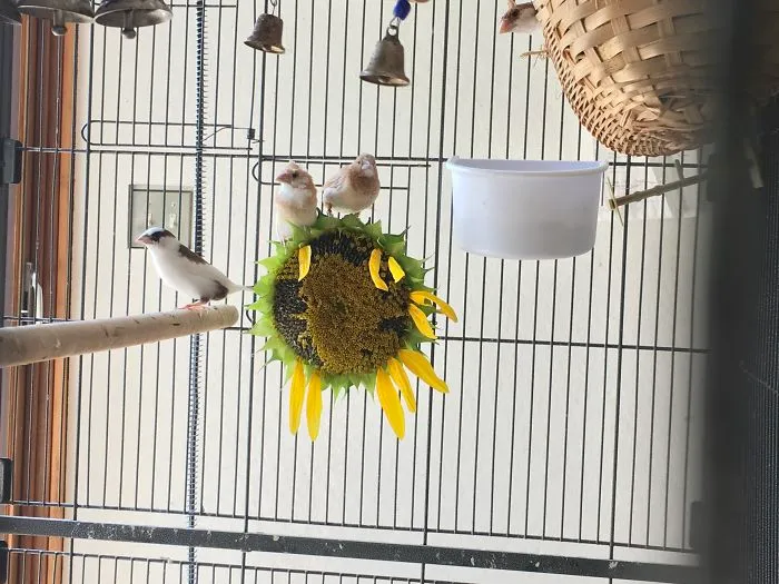 I Run A Small Animal Rescue: This Is What I See Every Day