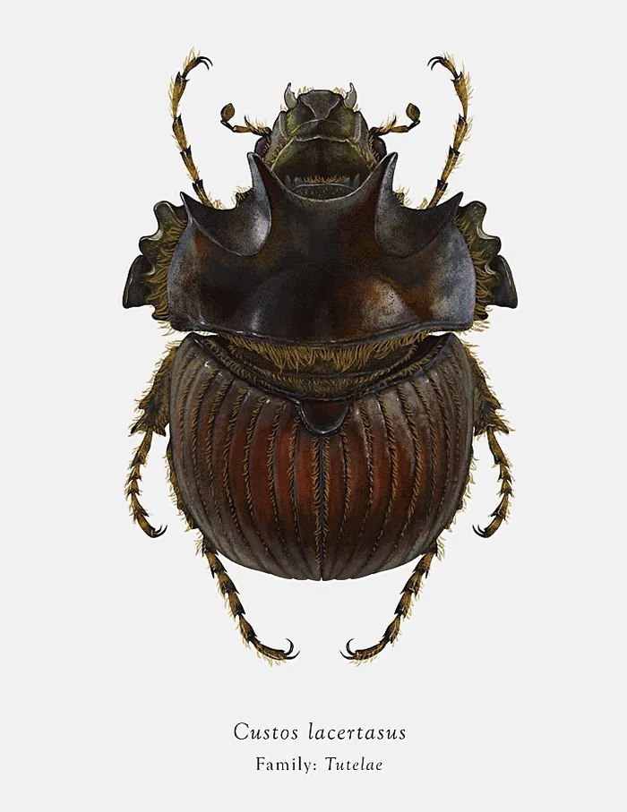 Artist Mutates Insects To Resemble Star Wars Characters – How Many Do You Recognize?