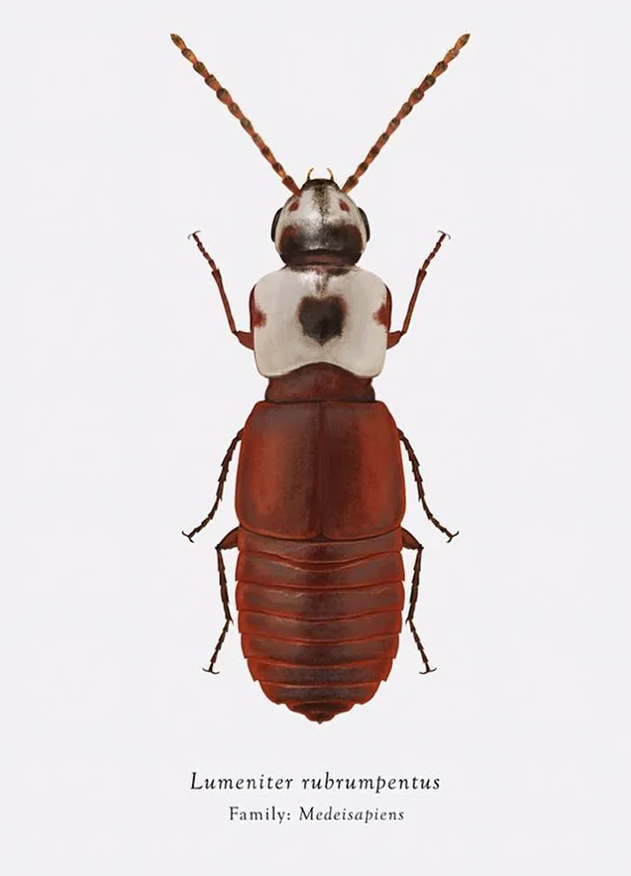 Artist Mutates Insects To Resemble Star Wars Characters – How Many Do You Recognize?