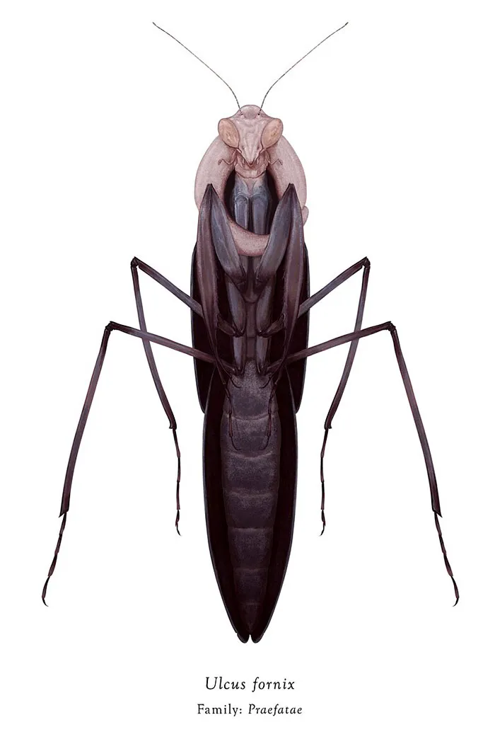 Artist Mutates Insects To Resemble Star Wars Characters – How Many Do You Recognize?